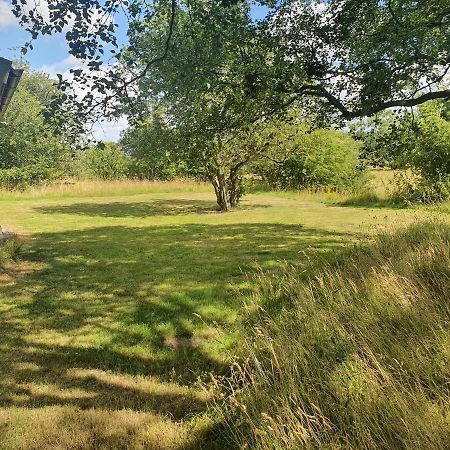 Skogsbaeckens Stugby Ab Villa Томелила Екстериор снимка
