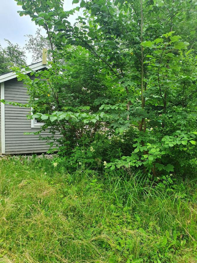 Skogsbaeckens Stugby Ab Villa Томелила Екстериор снимка
